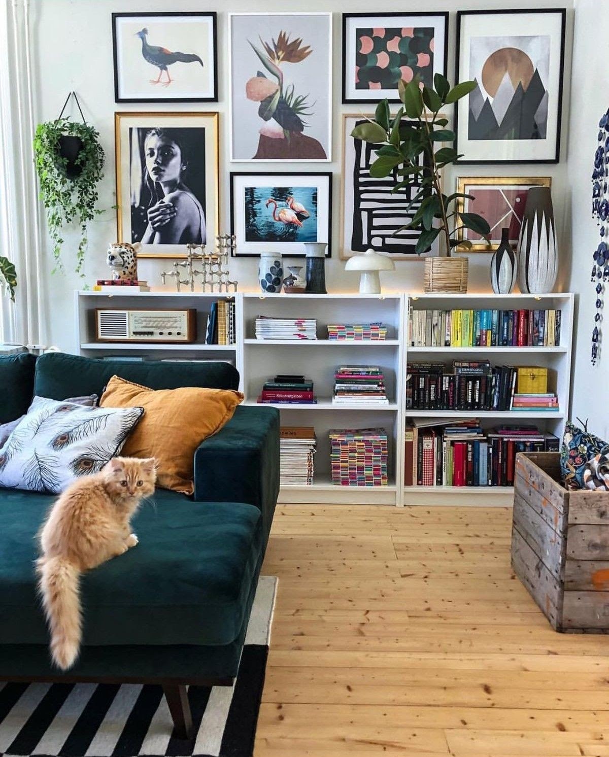 ambiente pet friendly