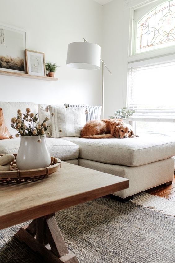 ambiente pet friendly