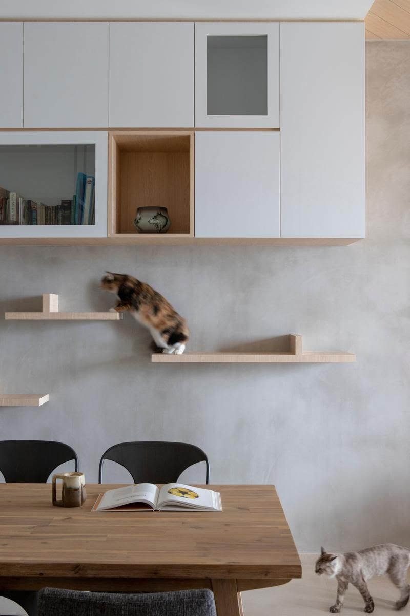 ambiente pet friendly
