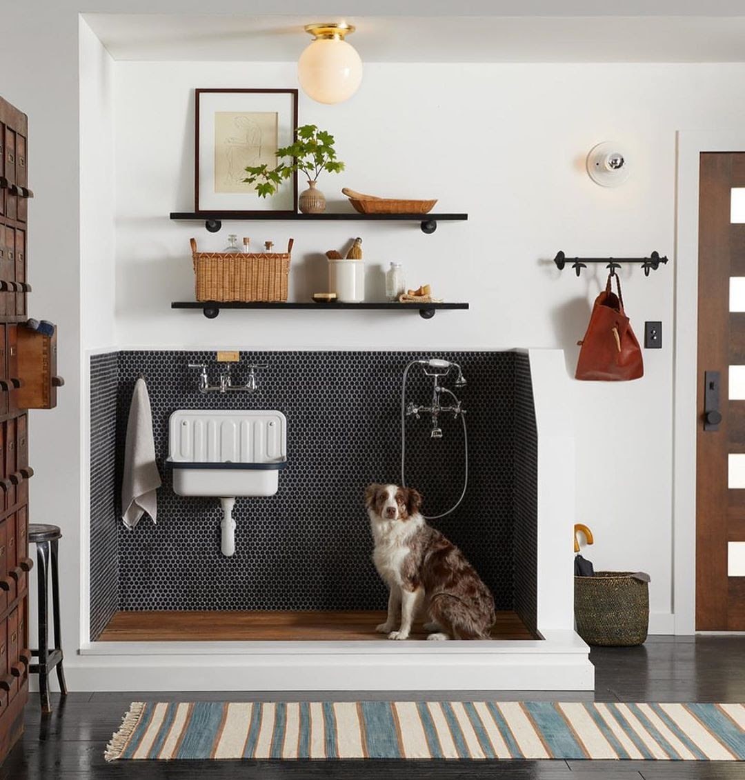 ambiente pet friendly
