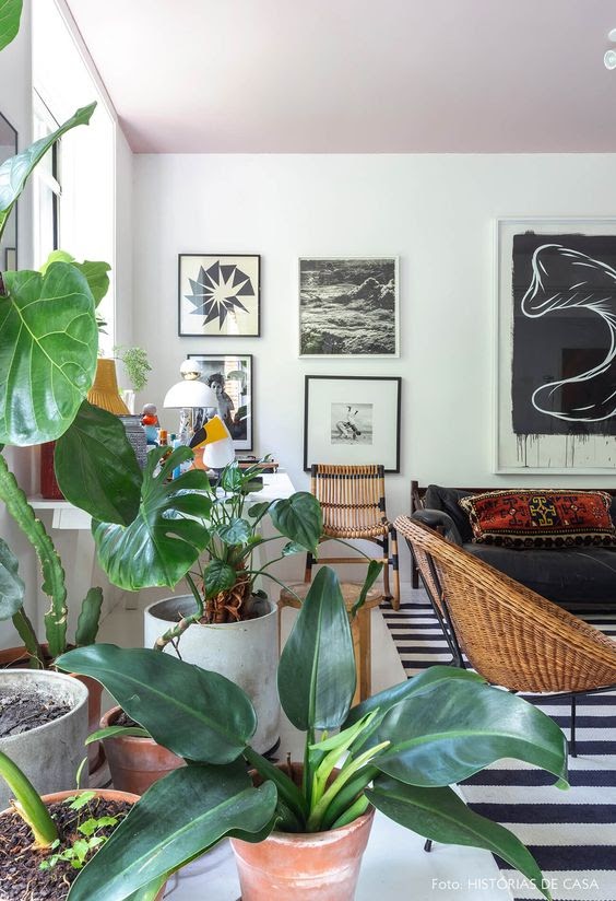 sala decoração tropical