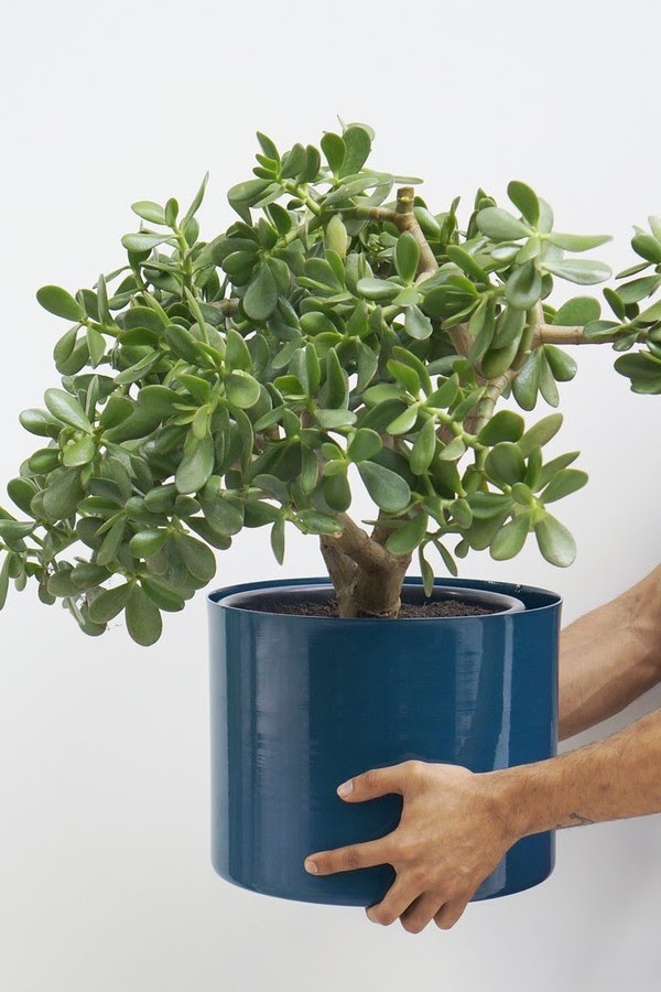 Jade