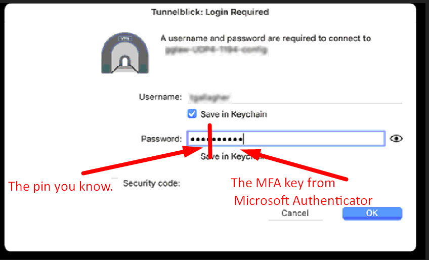 Connect to OpenVPN (With MFA) - Apple Computer
