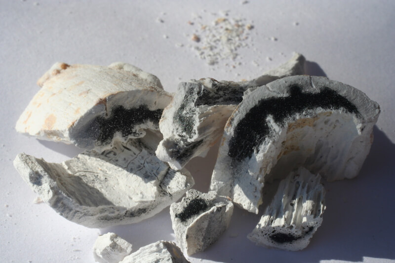 carbon in bone after cremation