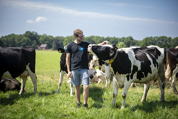 Zoon Roeland bij de koeien in de weide