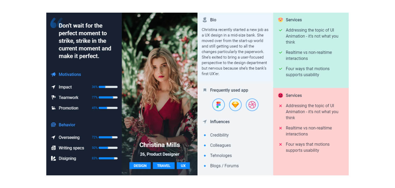 User Personas Example