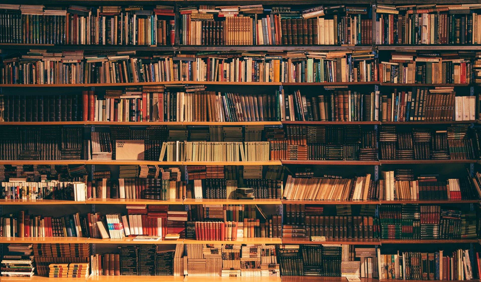 big book shelf