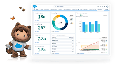 CRM Software & Cloud Computing Solutions - Salesforce EMEA