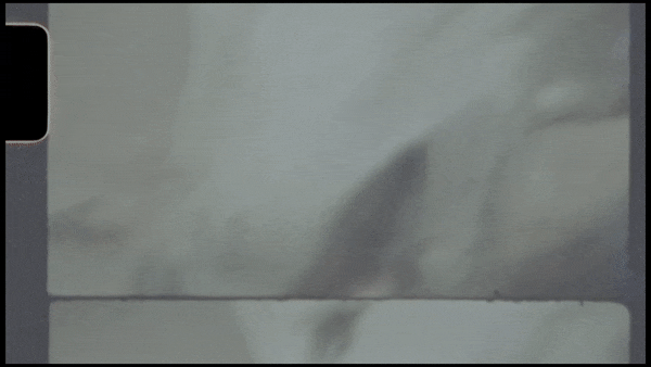 Stoli commercial still of white wolf