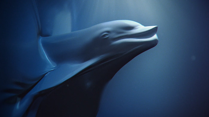 Sea Sheperd commercial still of dolphin shape
