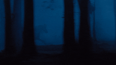 Warsteiner commercial still of men with a hat ridding a horse in the woods during a foggy night