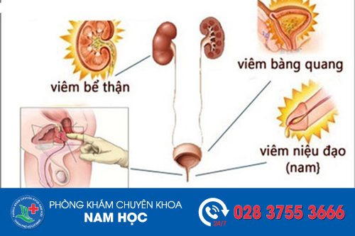 Yếu sinh lý có nguy hiểm không?