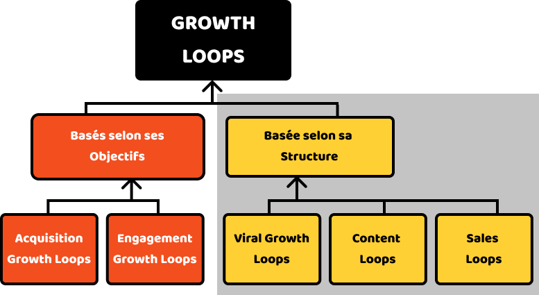 Growth Loops basés sur la structure