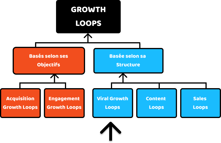 Viral Growth Loops