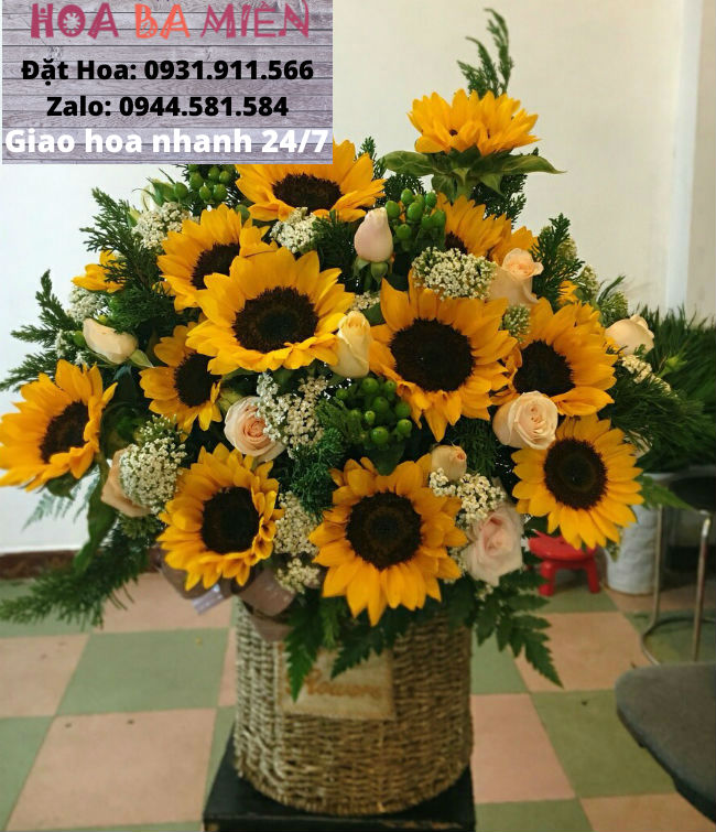 Hoa Sinh Nhật 9049