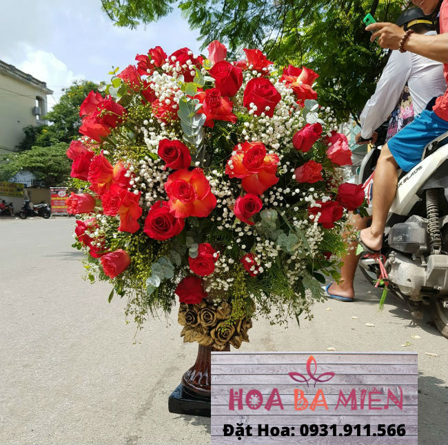 Hoa Sinh Nhật 9062