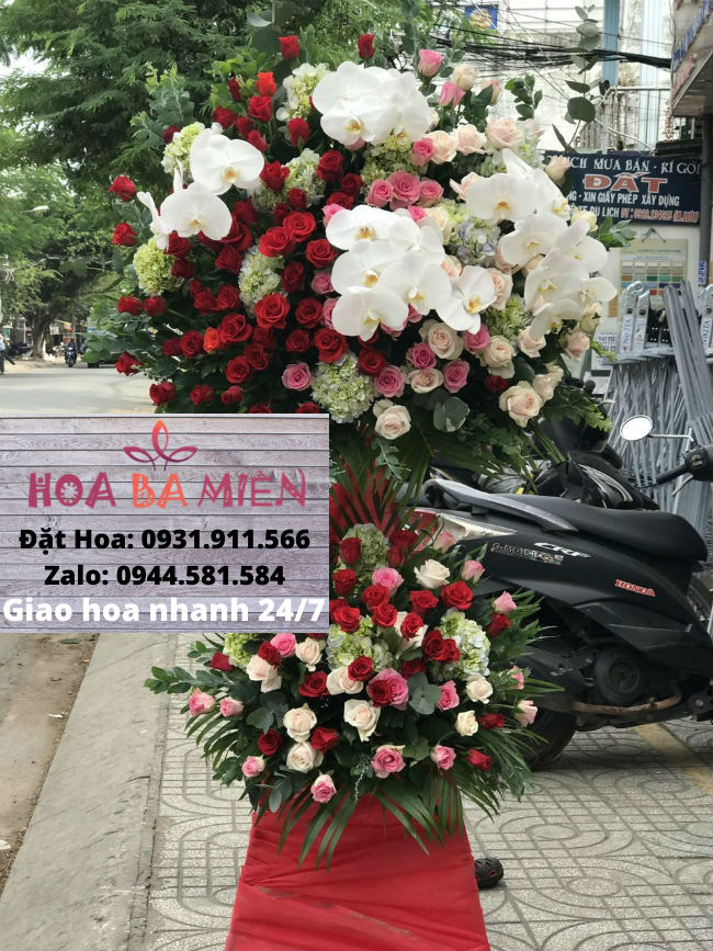 Hoa Khai Trương 34