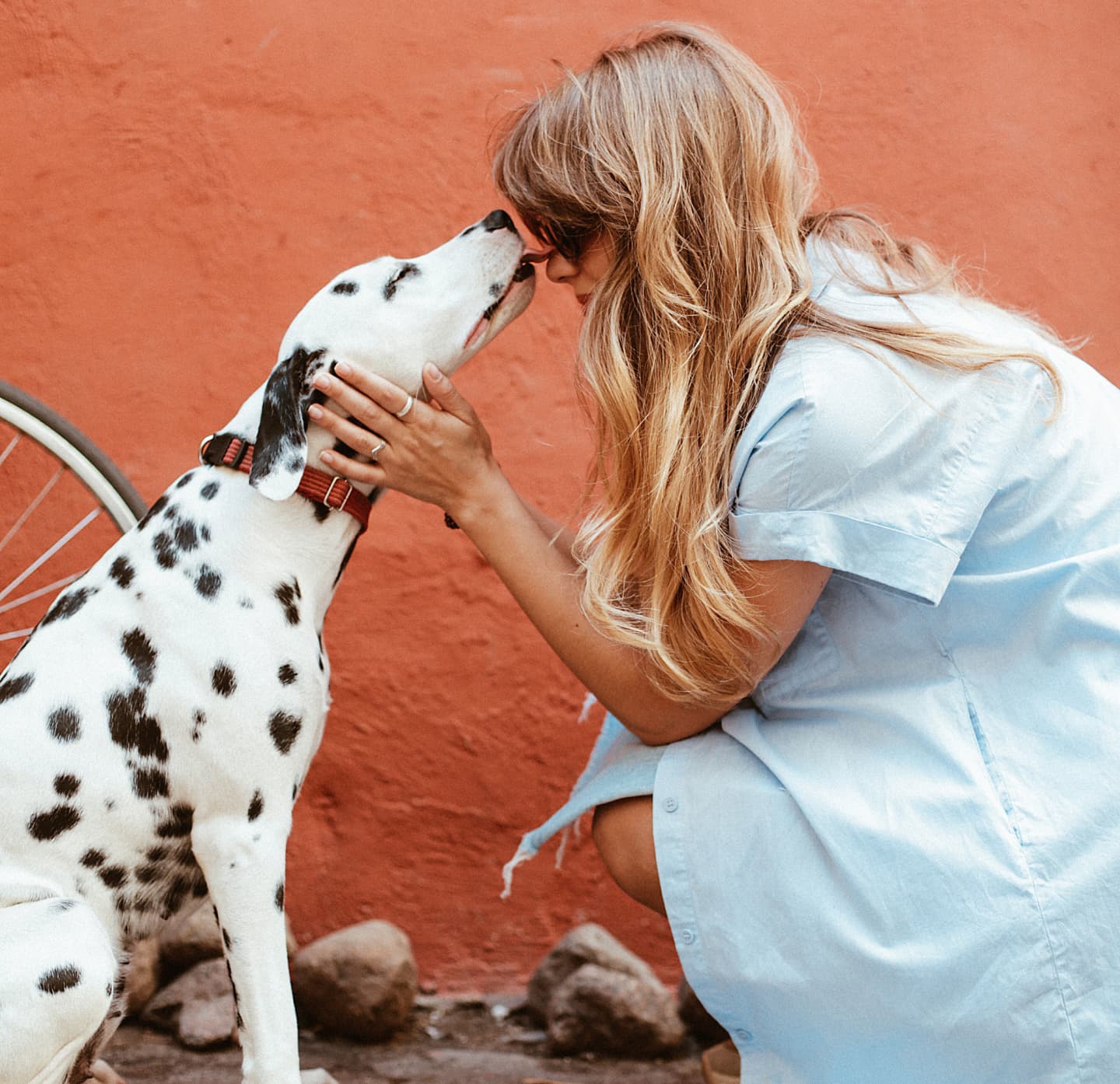 peace at home pet care