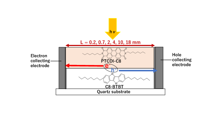 Lateral organic solar cell with centimeter long lateral junction
