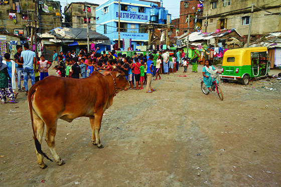 Mobile School in India