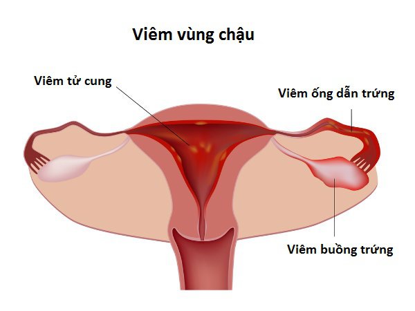 dau-rat-am-ho-khi-den-ngay-hanh-kinh