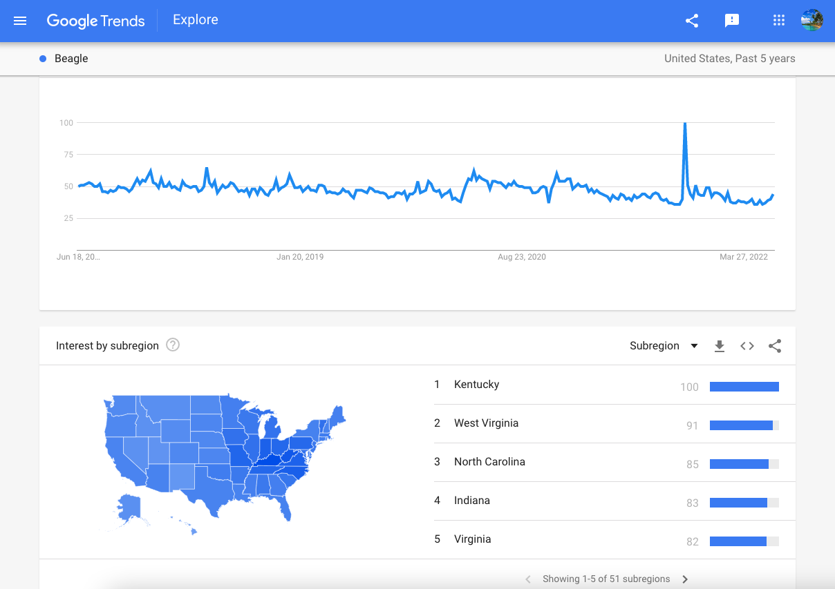 Google Trends Niche Research