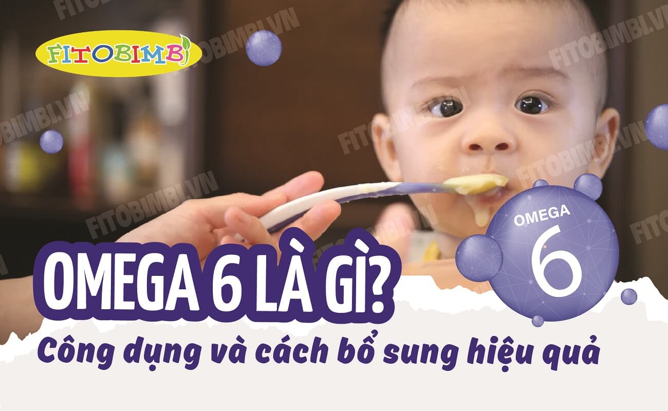 Omega 6 Là Gì? Công Dụng và Cách Bổ Sung Omega 6 Hiệu Quả Fitobimbi