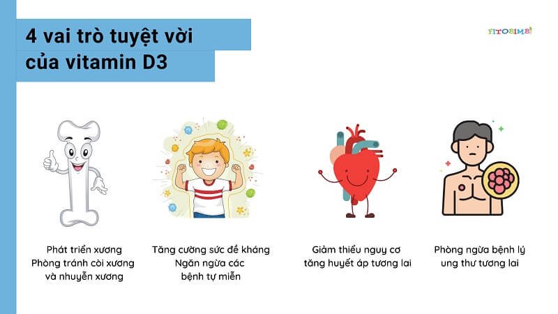 Vitamin D3 có nhiều vai trò quan trọng đối với sức khỏe của trẻ