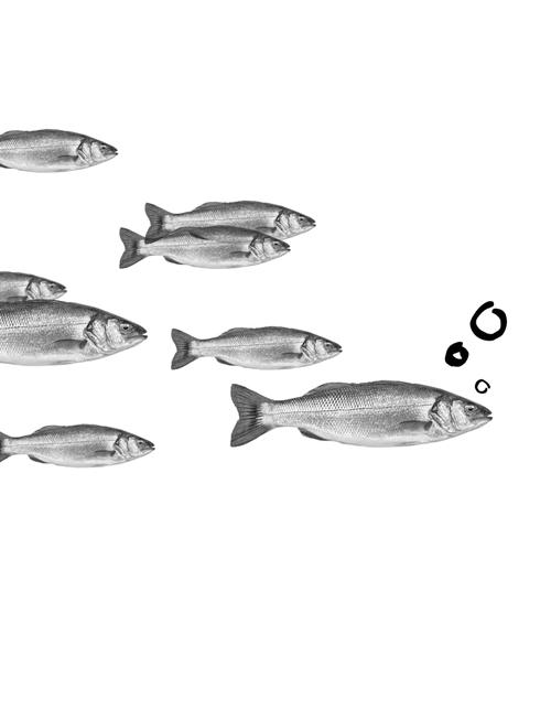 Helm on the Allegheny Strip District Apartments