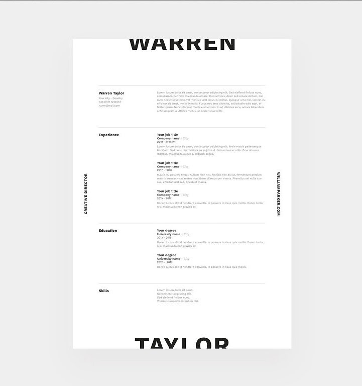 well-designed resume example