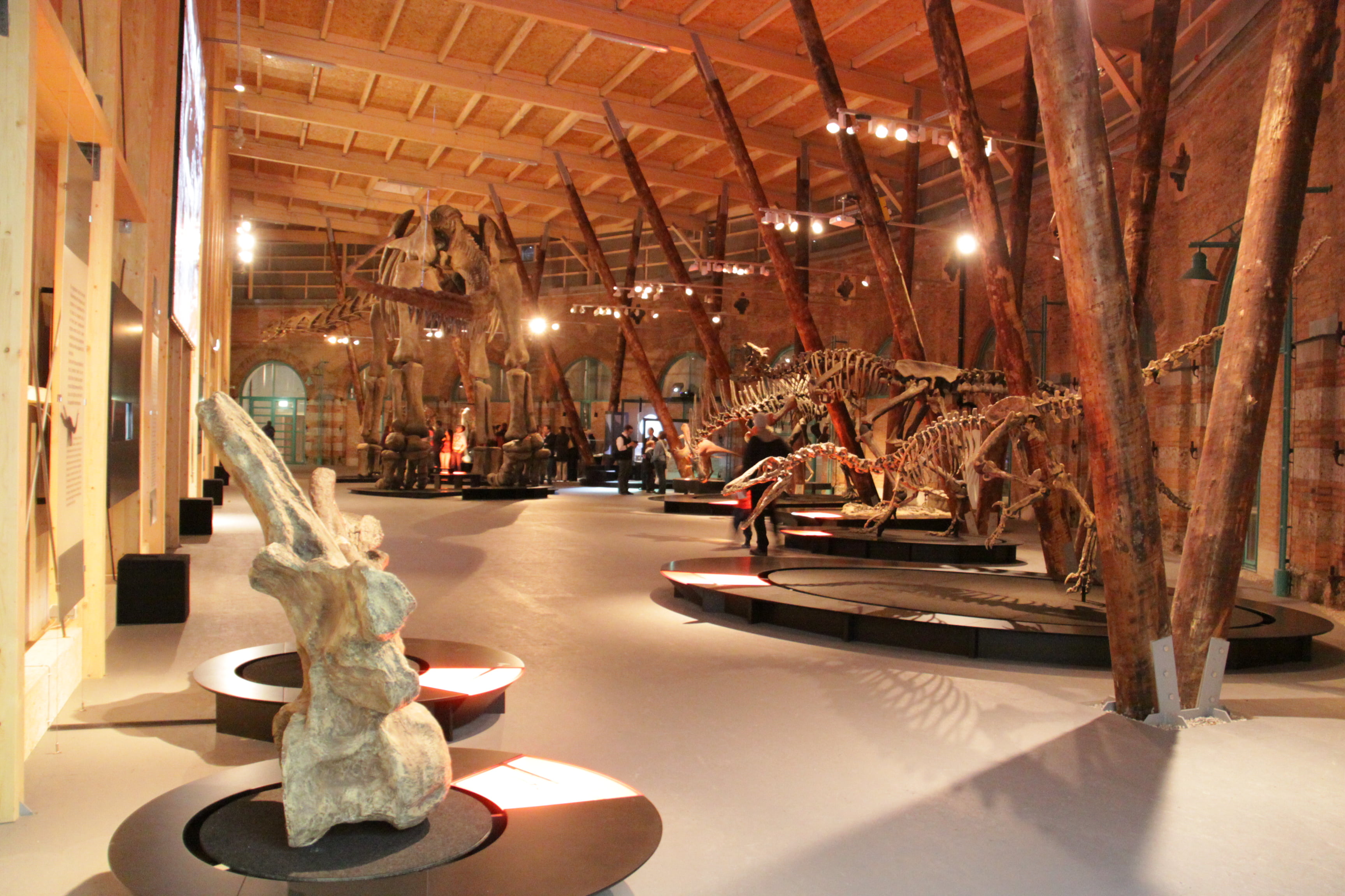 Dinohalle Lokschuppen Rosenheim Innen