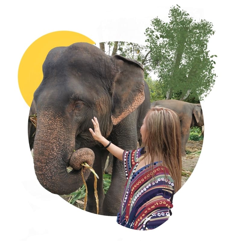 BEST ELEPHANT PARKS & SAFARIS ON BALI balidriver.io