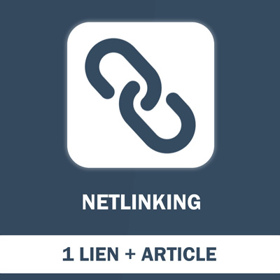 1 Lien Netlinking Simple - article compris - SEO