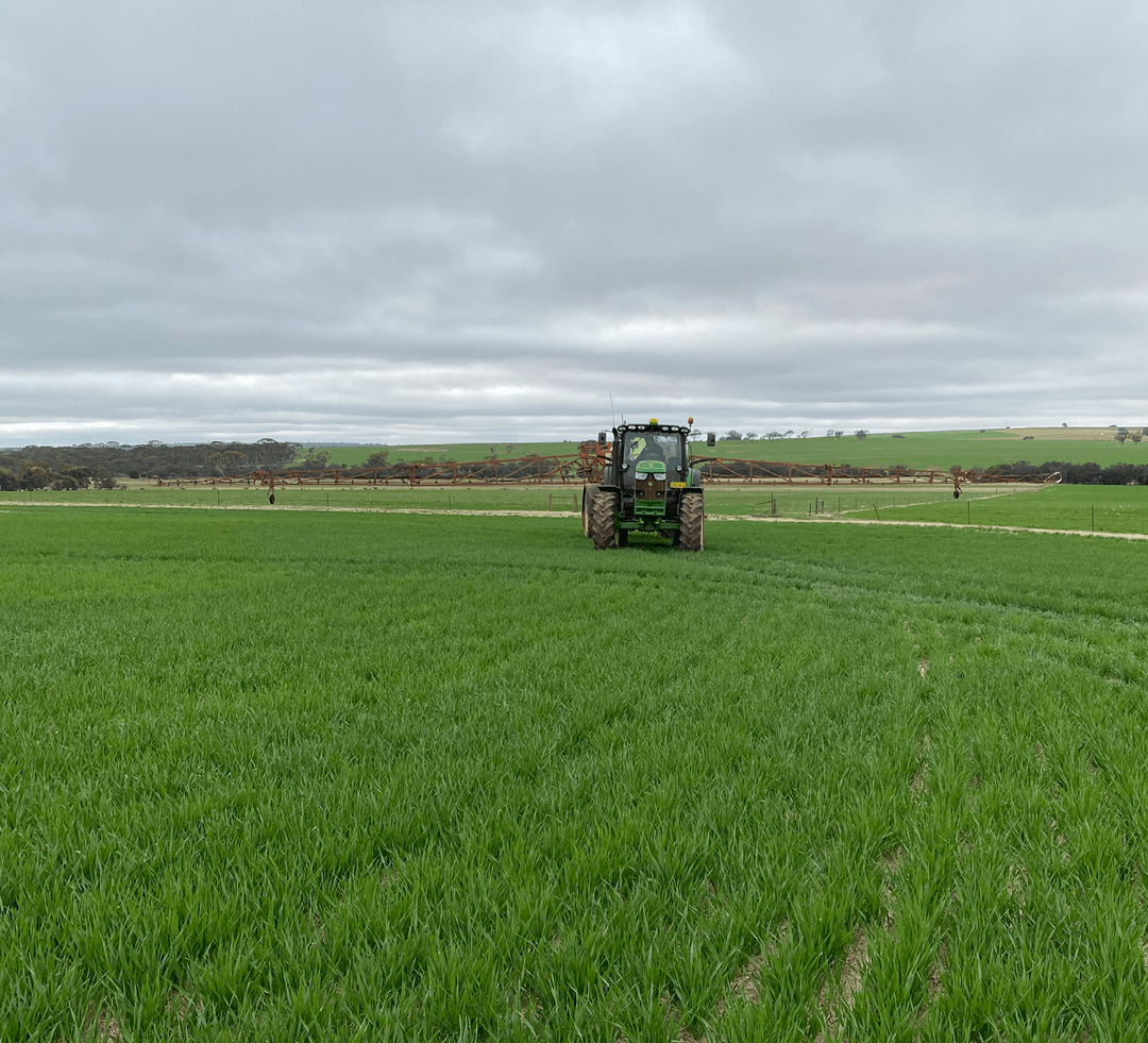 A leading fertilizer supplier in WA Summit Fertilizers