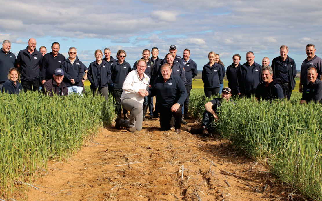Summit News The latest in fertilizer research and agronomy