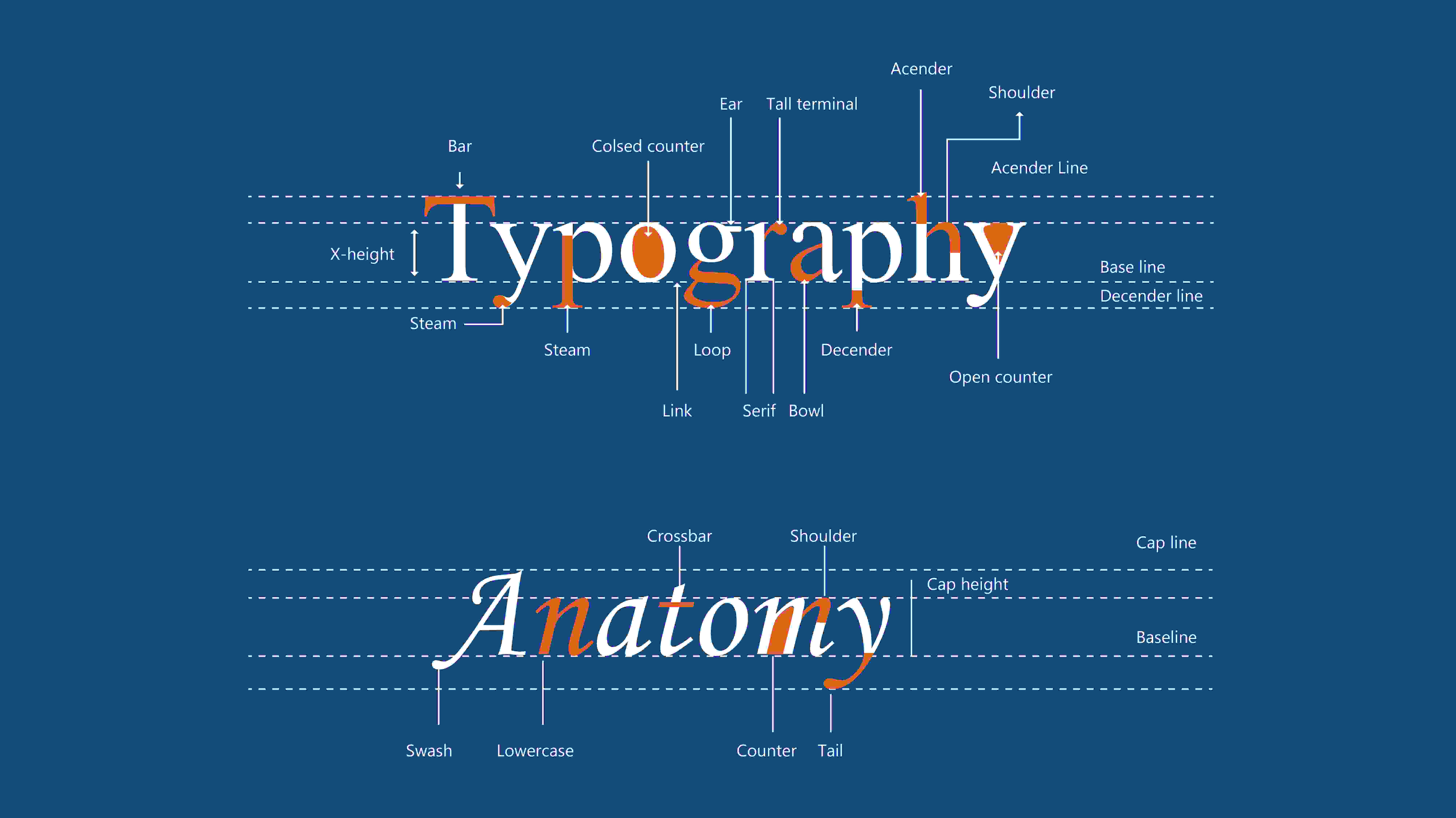 constituent of visual identity-typography