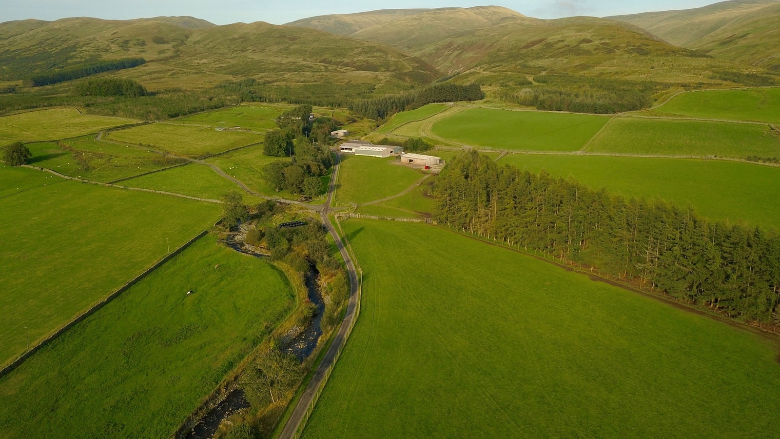Our Farm Old Newton Farm