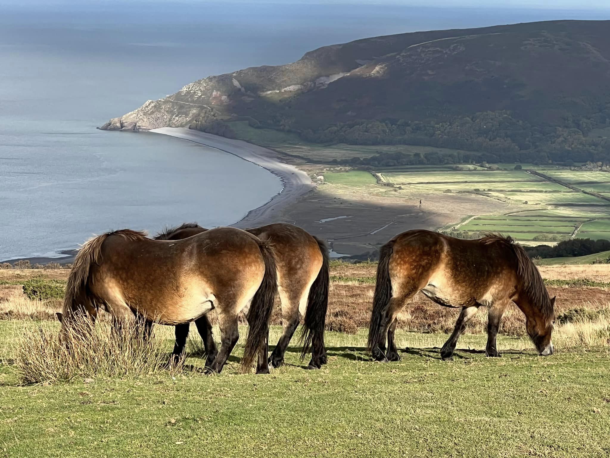 Exmoor Healing Sound Retreats Saturday 12th Sunday 13th February 2023
