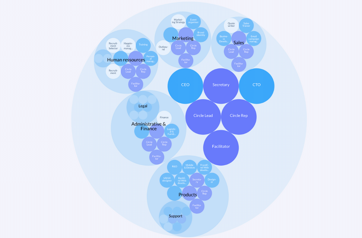 Example of a holacratic org chart