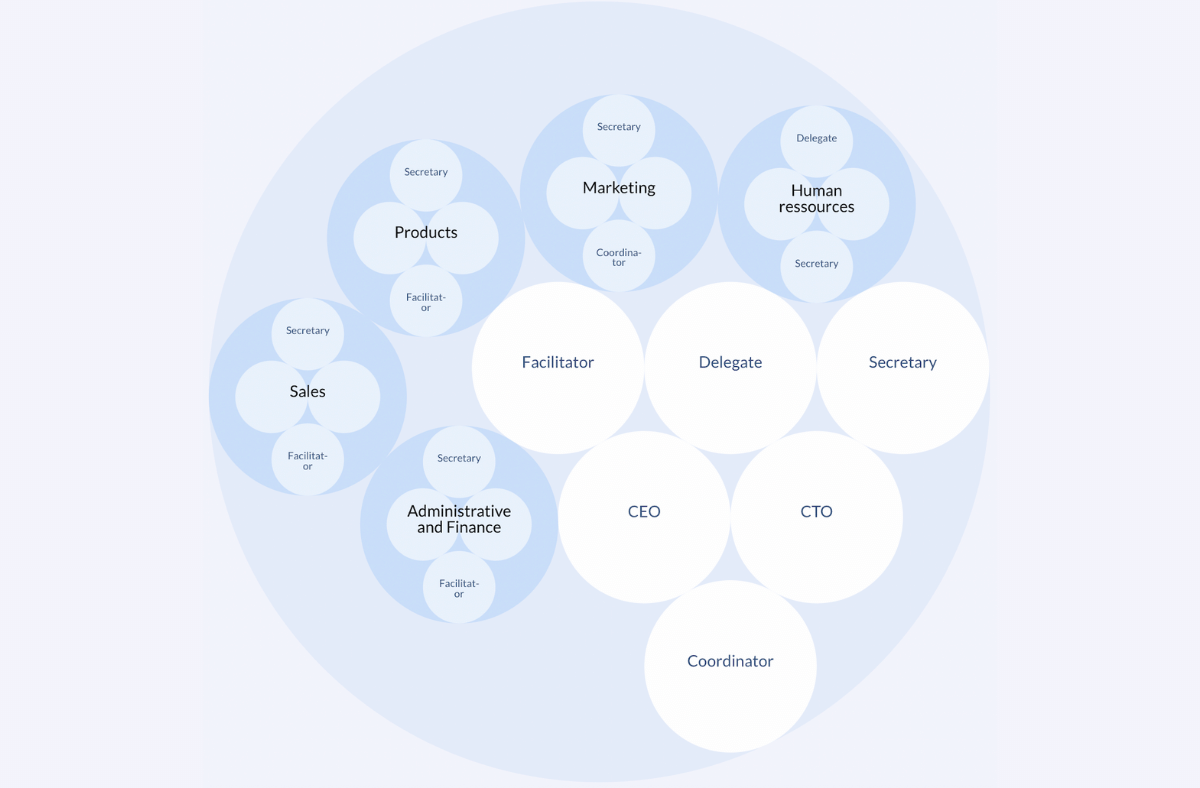 Example of a sociocratic org chart