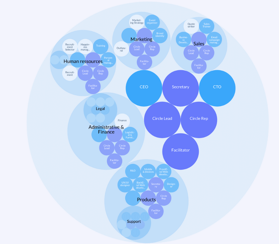 Example of a holacratic org chart