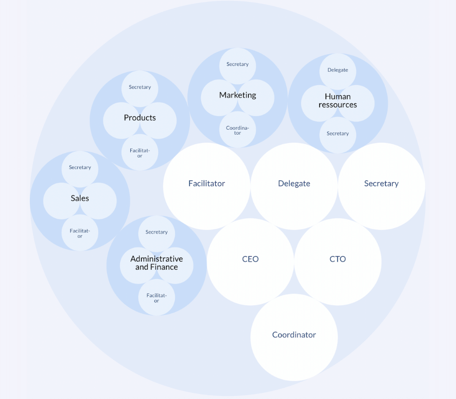 Example of a sociocratic org chart