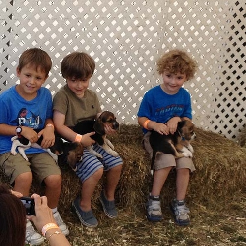 Upstate New York Catskills Real Estate Catskill Farms