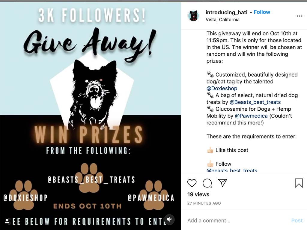 Shopify Marketing: Giveaways