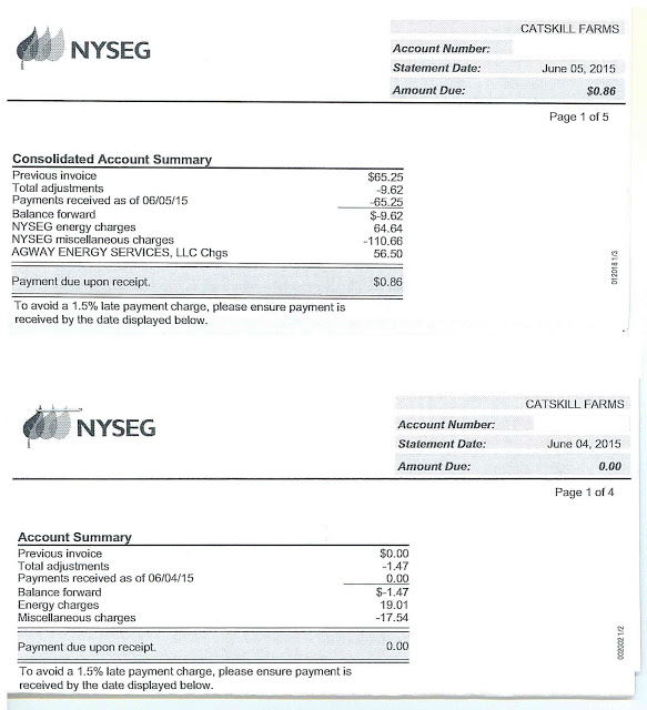 Electrical Charges at the Shop Catskills Real Estate Catskill Farms