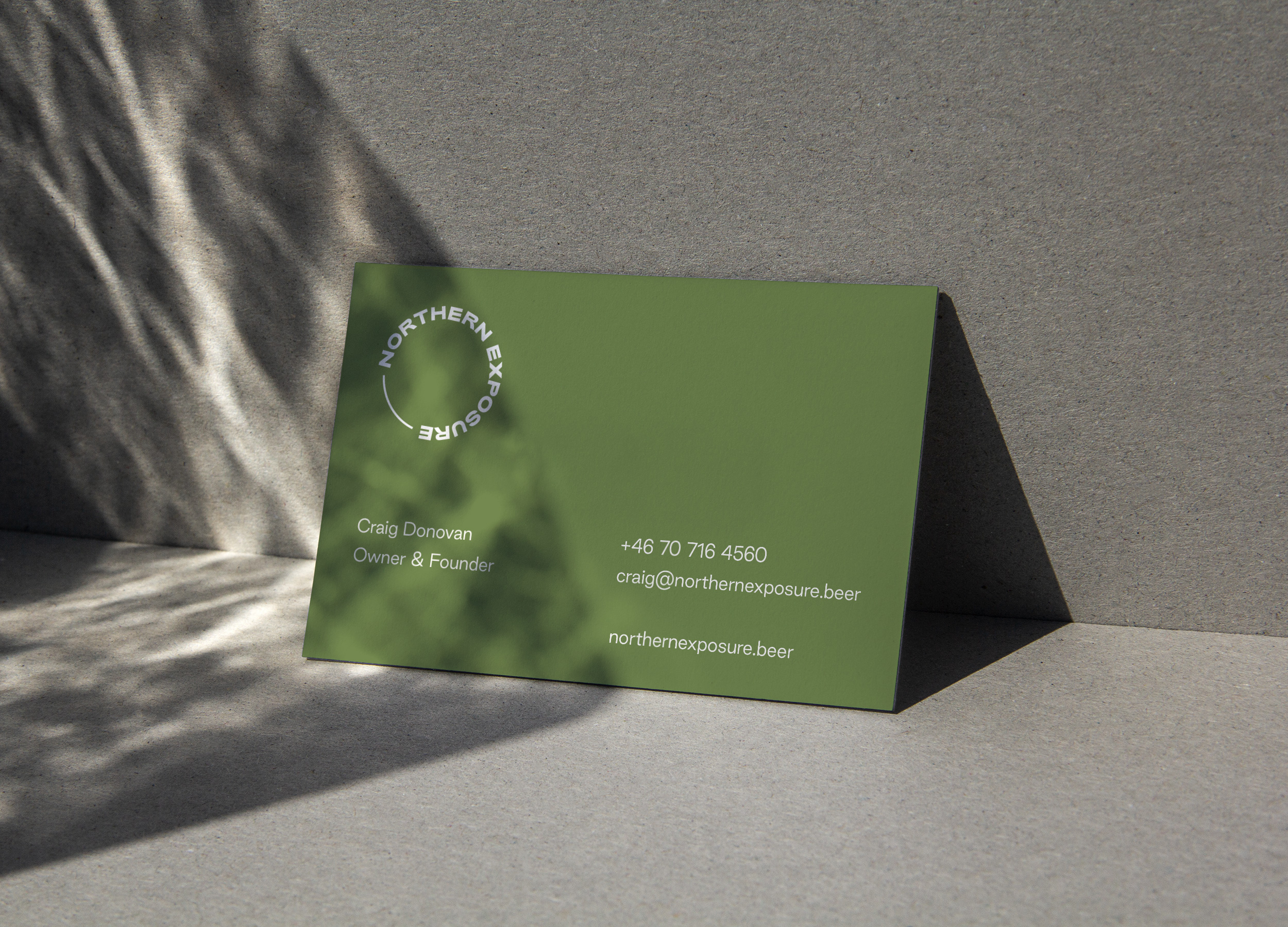 Northern Exposure Business Card Design