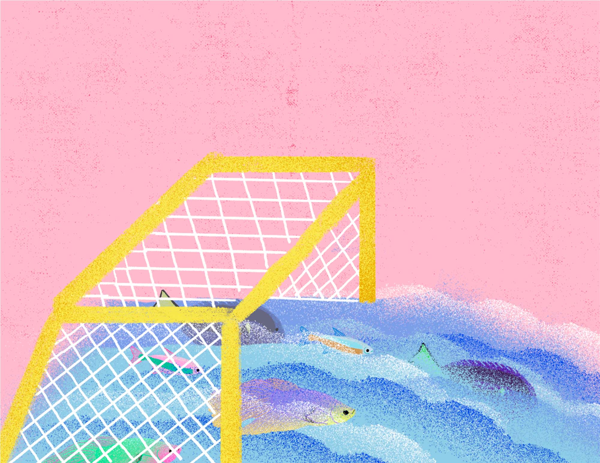 Ilustração de Andre Suzuki