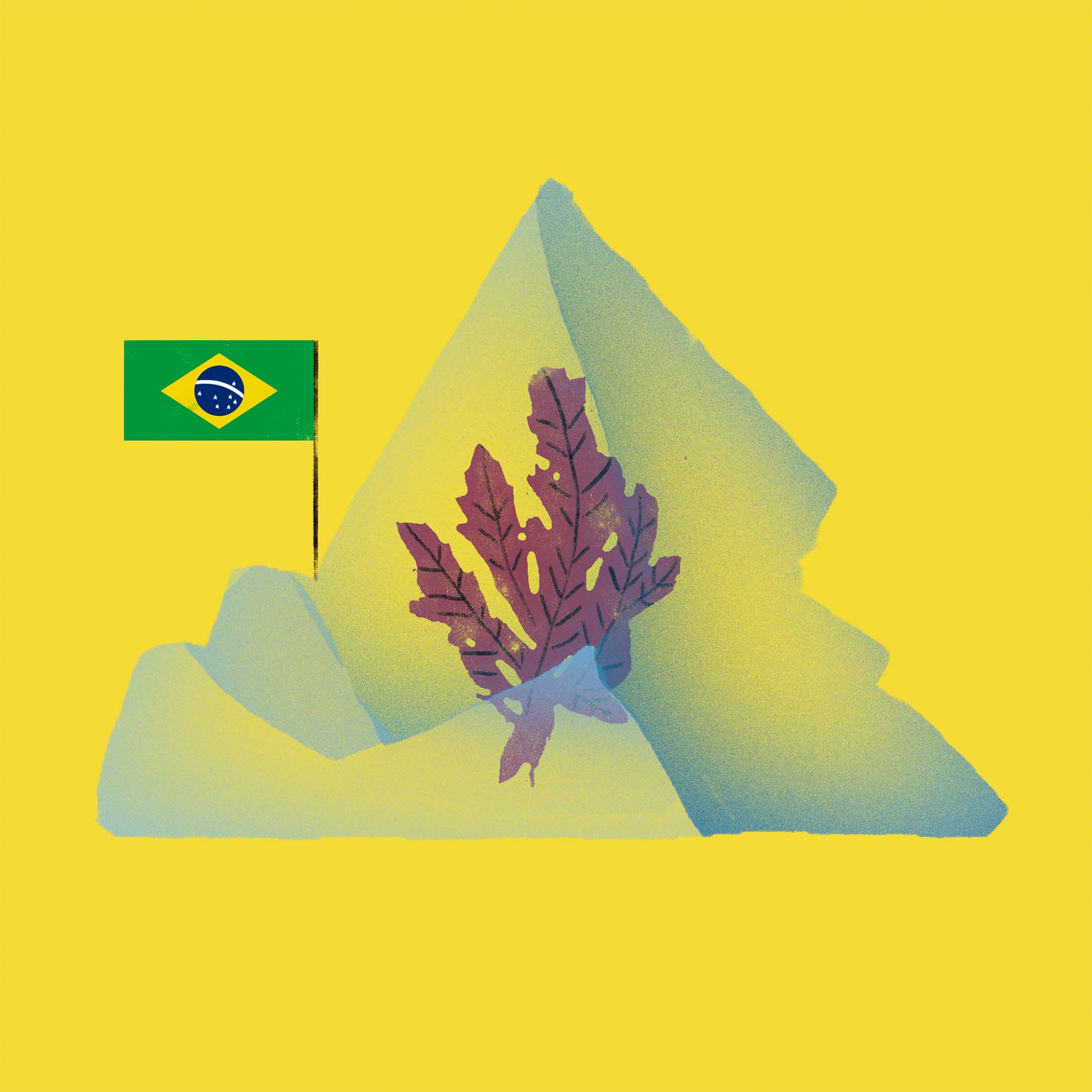Ilustração de Andre Suzuki