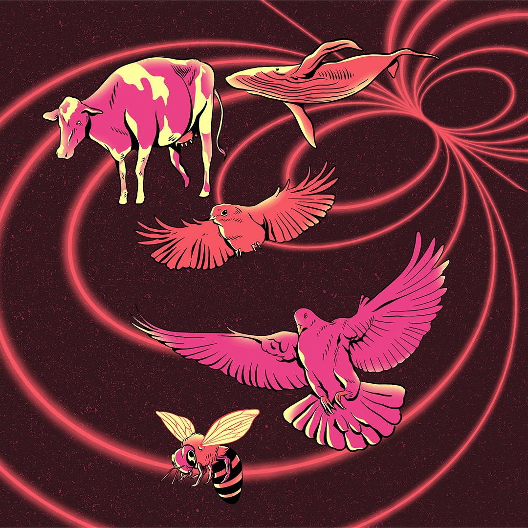 Ilustração de Gustavo Magalhães