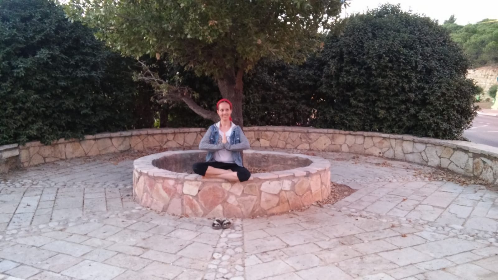 שטרנר-לוי רותי